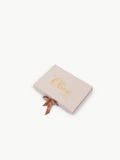 Suit Powder Pink