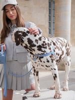 Dog Harness Leather Blue