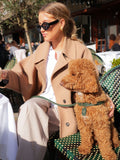 Dog Harness Leather Green