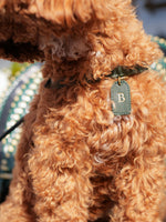 Dog Harness Leather Green