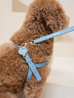 Dog Harness Leather Blue