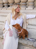 Dog Collar Leather Pink