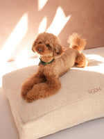Dog Cushion Bouclé Ecru