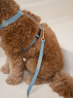 Dog Leash Blue