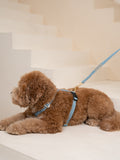 Dog Harness Blue