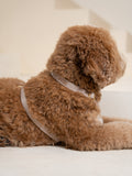 Dog Harness Beige