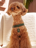 Dog Harness Leather Green