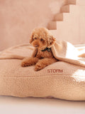 Cojín Perro Teddy Beige