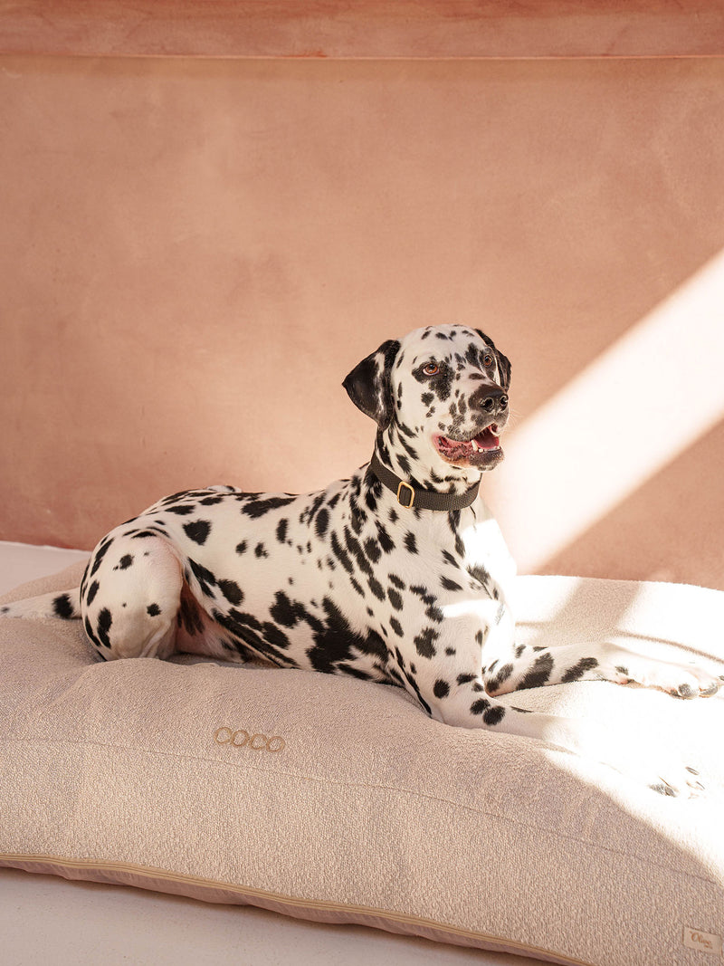 Hundekissen Bouclé Ecru