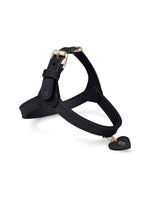 Dog Harness Leather Black