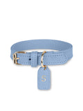 Hundehalsband Leder Blau