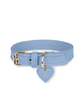 Hundehalsband Leder Blau