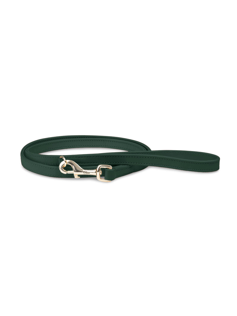 Dog Leash Leather Green