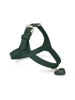 Dog Harness Leather Green