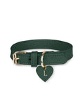 Collier en cuir vert pour chien