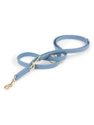 Laisse pour chien mains libres en cuir bleu