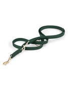 Laisse pour chien mains libres en cuir vert