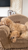 Teddy Chair Beige