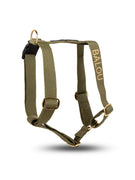 Dog Harness Green