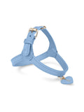 Dog Harness Leather Blue